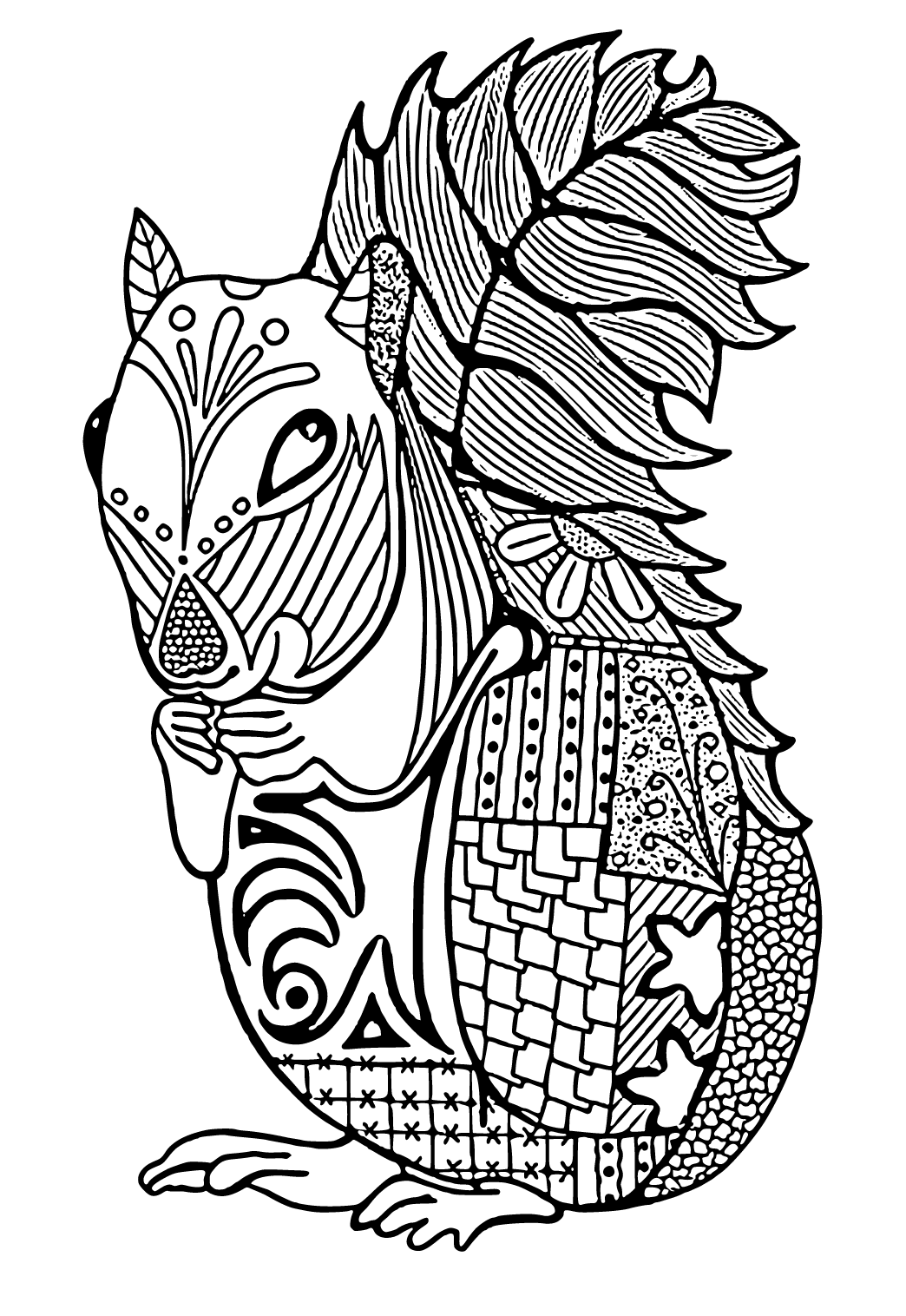 Free printable intricate squirrel coloring page sheet and picture for adults and kids girls and boys