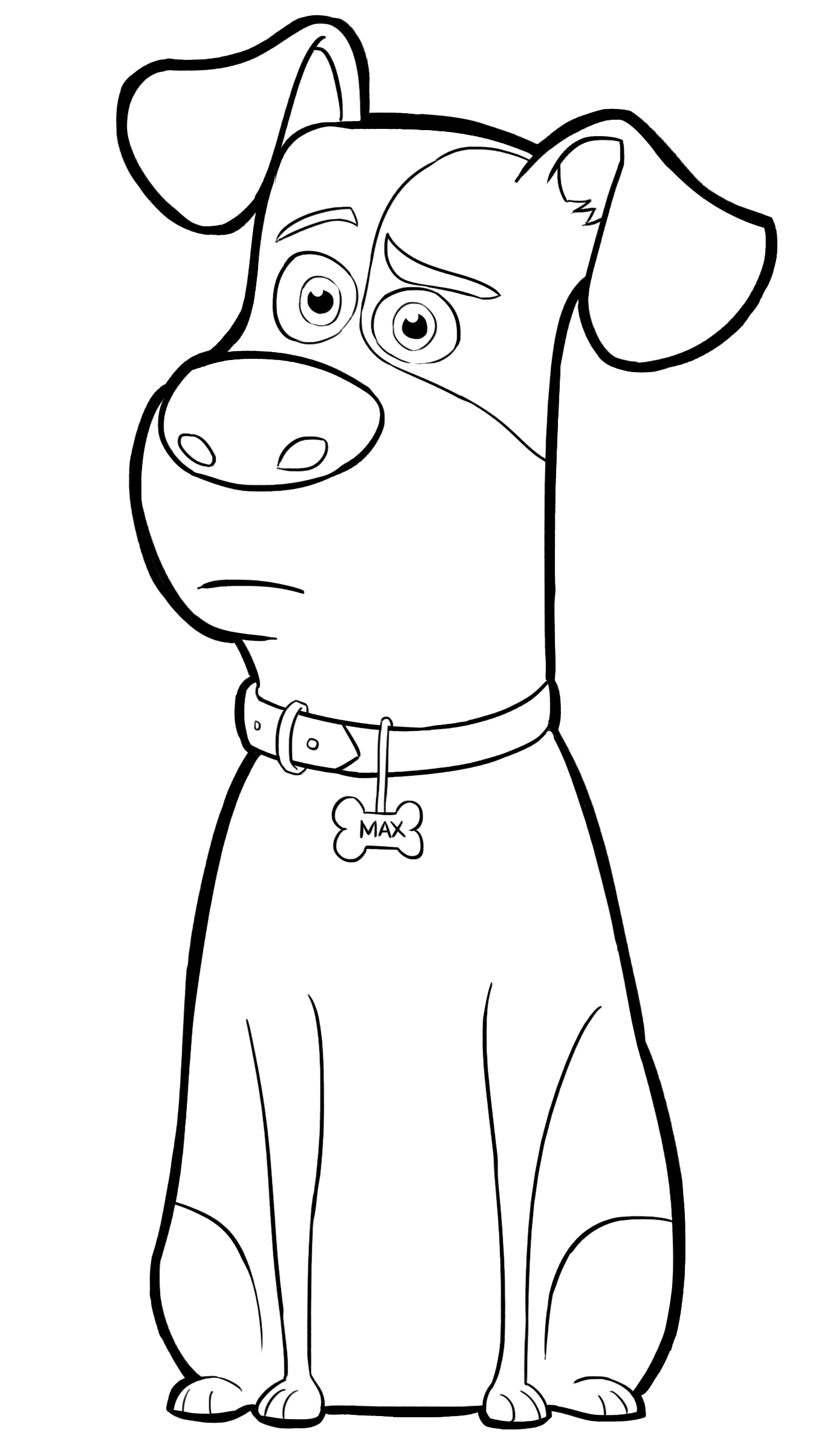 Pets coloring pages