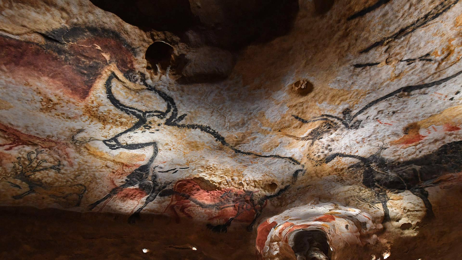 Lascaux cave painting â bing wallpaper download