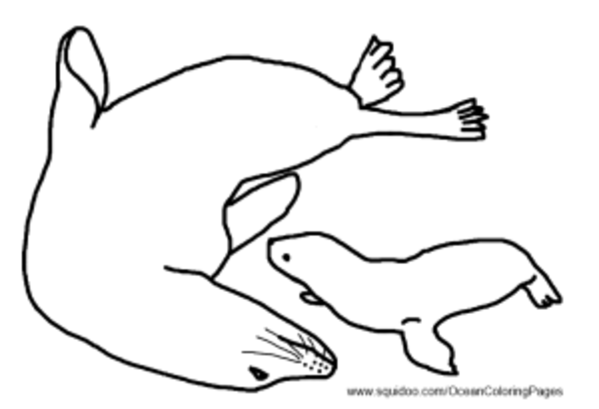 Ocean animal facts and coloring pages