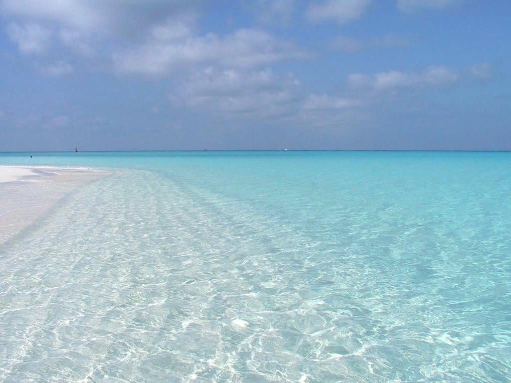 Download Free 100 + cayo largo wallpaper