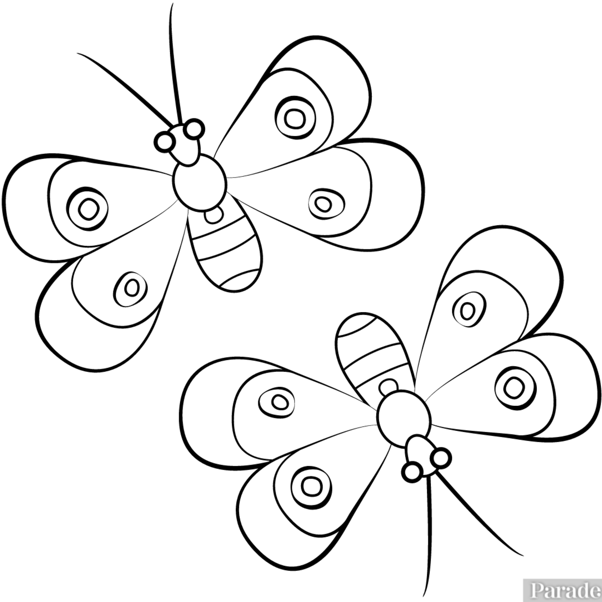 Butterfly coloring pages free printable sheets