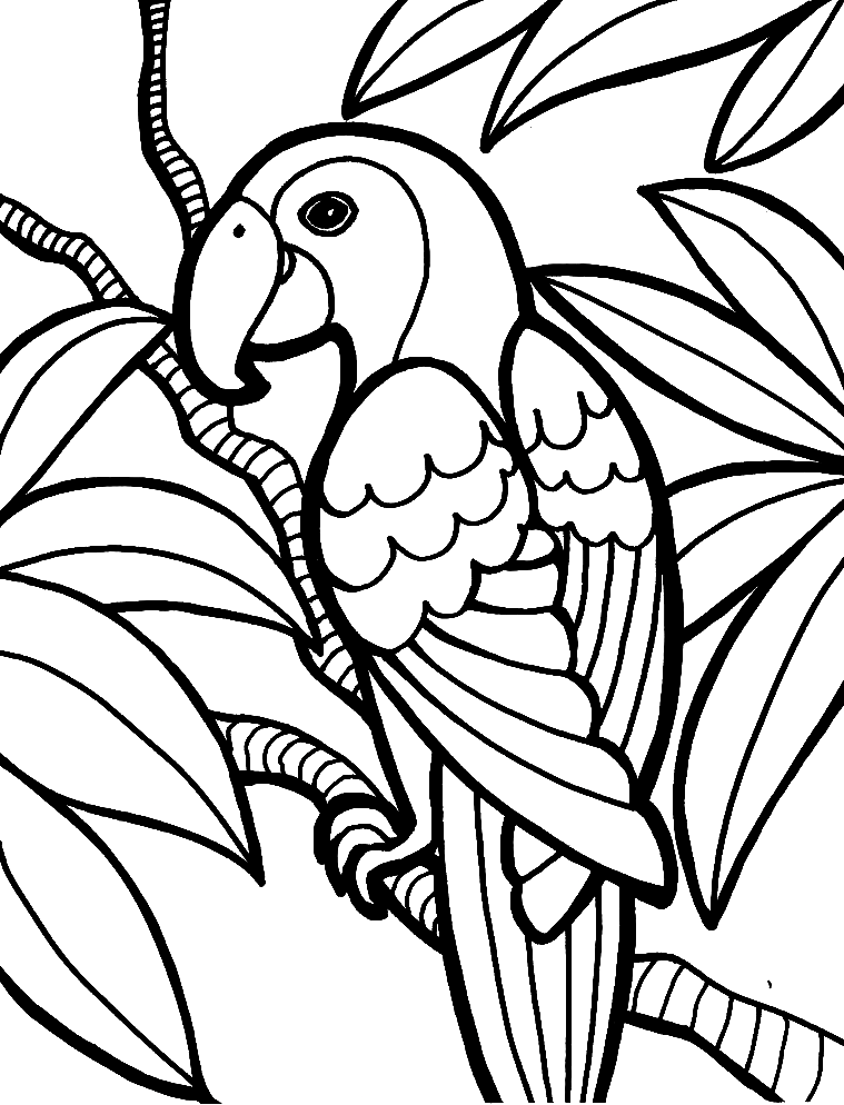 Parrot coloring pages printable for free download