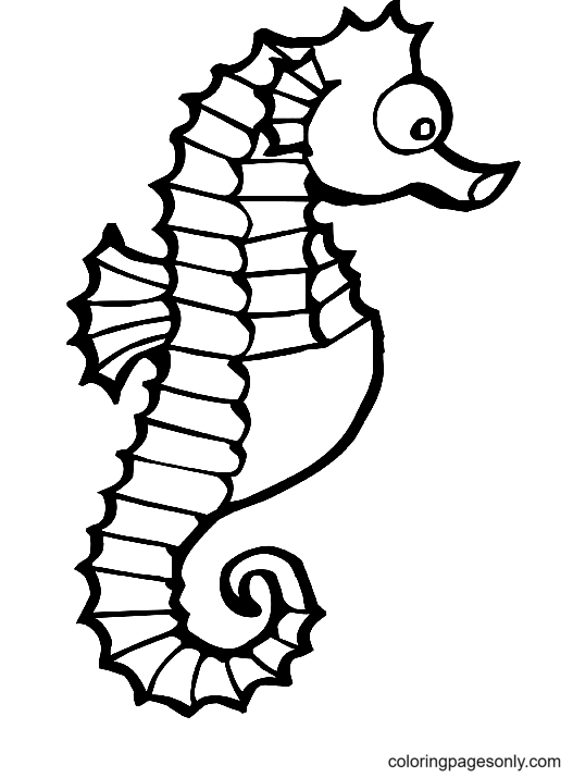 Seahorse image coloring pages