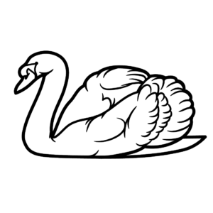 Swan coloring pages printable for free download