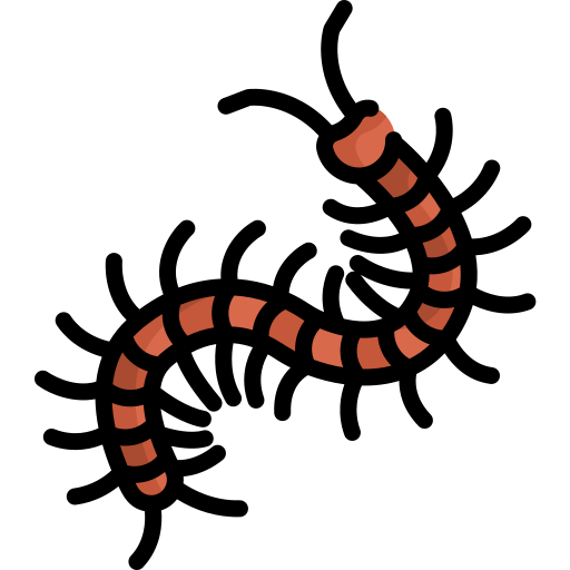 Centipede