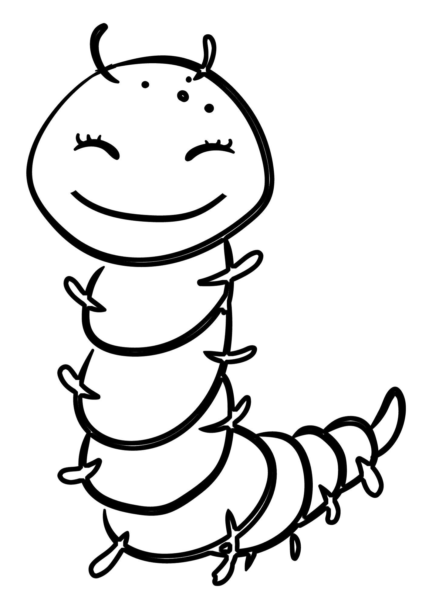 Centipede