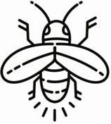 Fly coloring pages free coloring pages