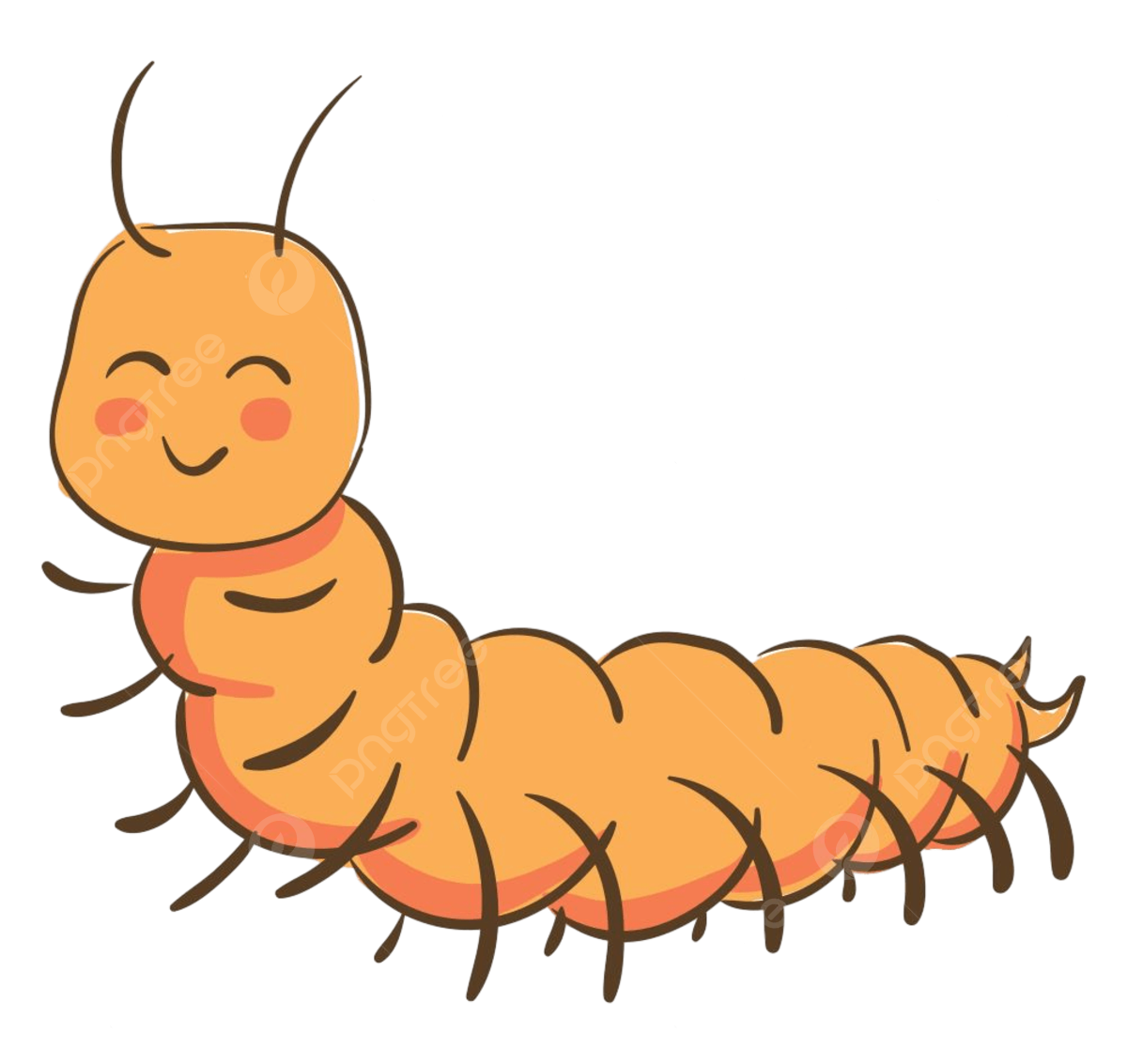 Centipede png vector psd and clipart with transparent background for free download