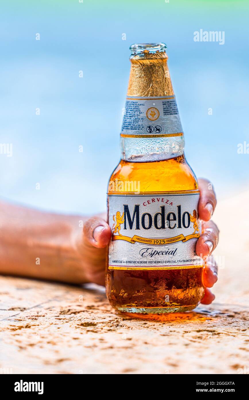 Modelo beer hi