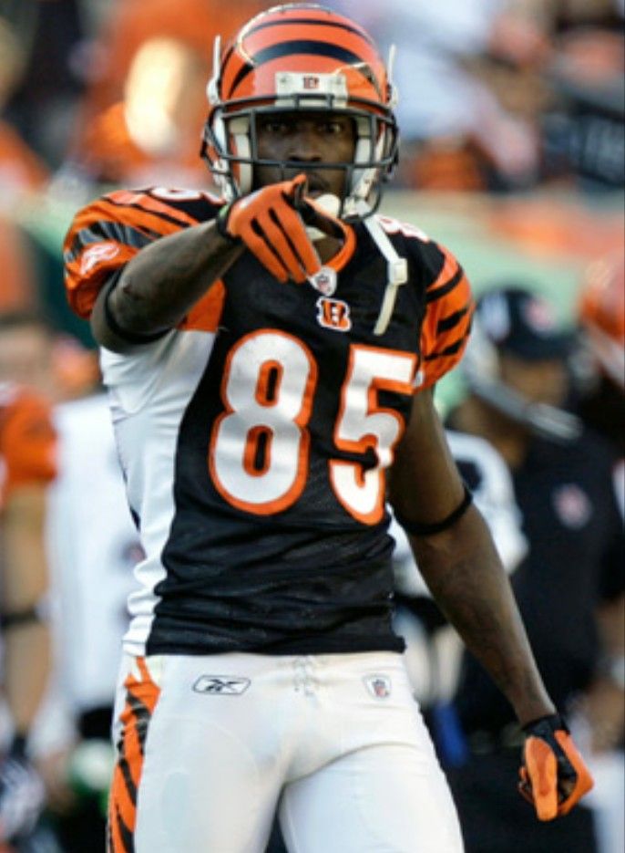 Chad ochocinco johnson nfl football players nfl players chad ochocinco