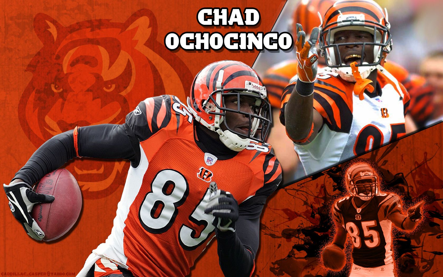 Chad ochocinco wallpapers