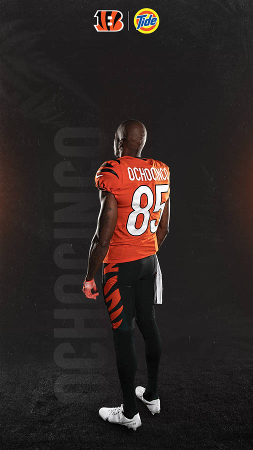 Download cincinnati bengals chad ochocinco johnson wallpaper