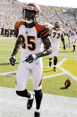 Chad ochocinco images icons wallpapers and photos on