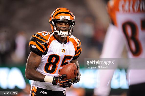 Bengals chad ochocinco photos and premium high res pictures