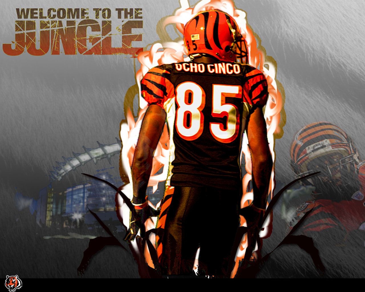 Chad johnson wallpapers