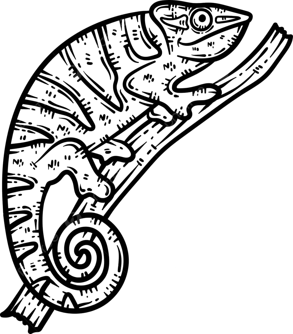 Chameleon coloring book png transparent images free download vector files