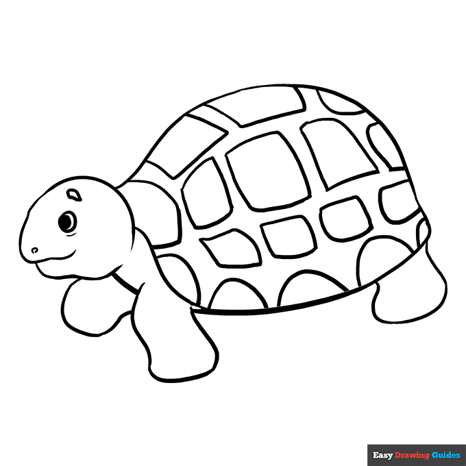 Free printable reptile coloring pages for kids