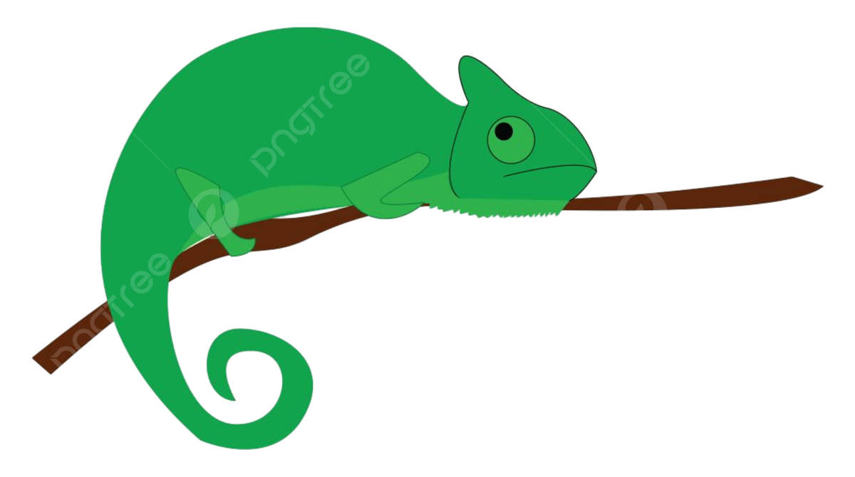 Chameleon drawing png transparent images free download vector files