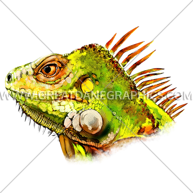 Iguana head side view production ready artwork for t