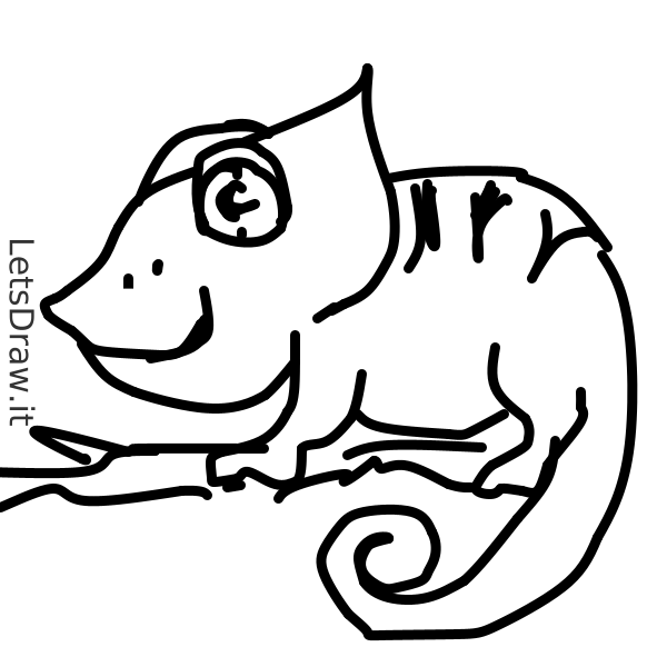 How to draw chameleon