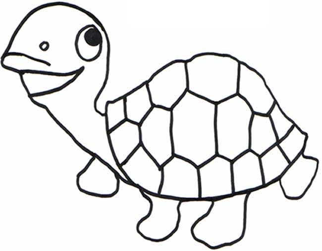 Reptile coloring pages for kids