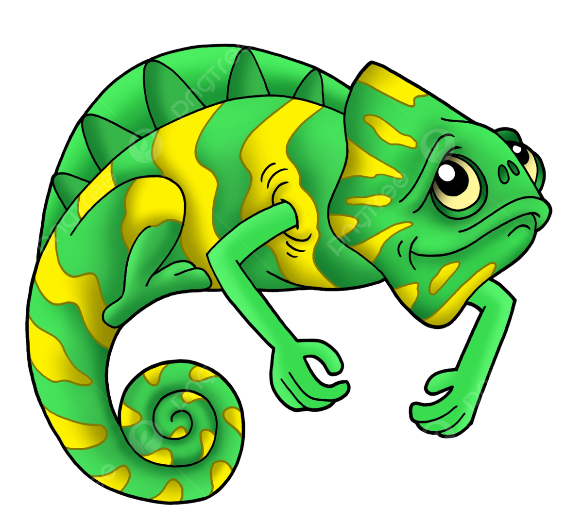 How to draw a chameleon png transparent images free download vector files
