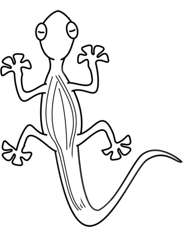Lizard coloring page free printable coloring pages