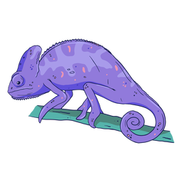 Purple chameleon color stroke png svg design for t