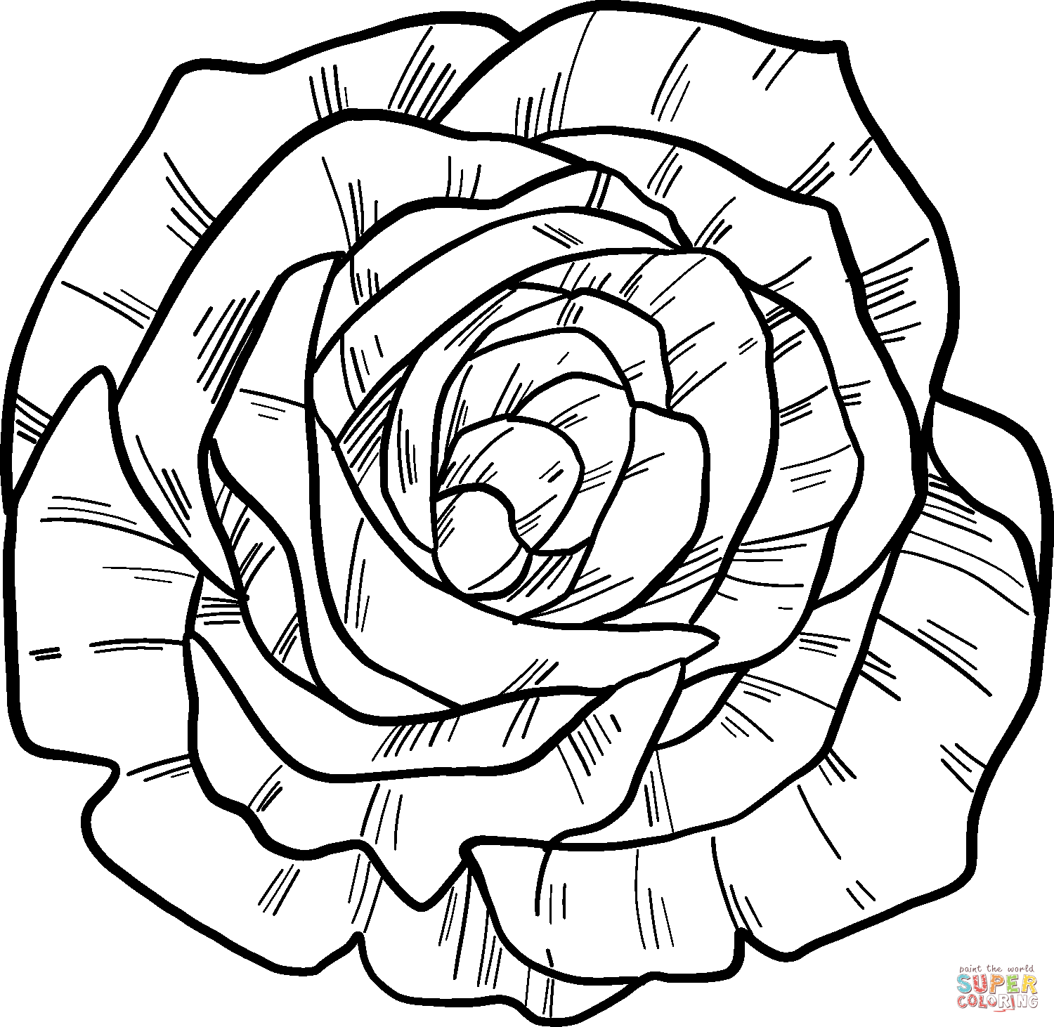 Charisma yellow red floribunda rose coloring page