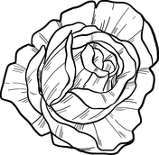 Roses coloring pages free coloring pages