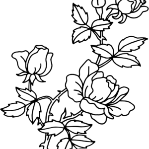 Roses coloring pages printable for free download