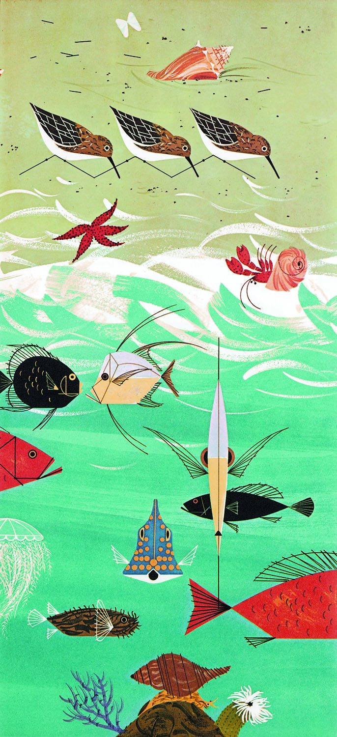 Download Free 100 + charley harper iphone wallpaper