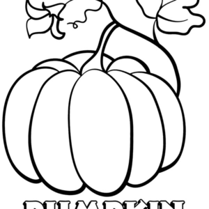 Pumpkin coloring pages printable for free download