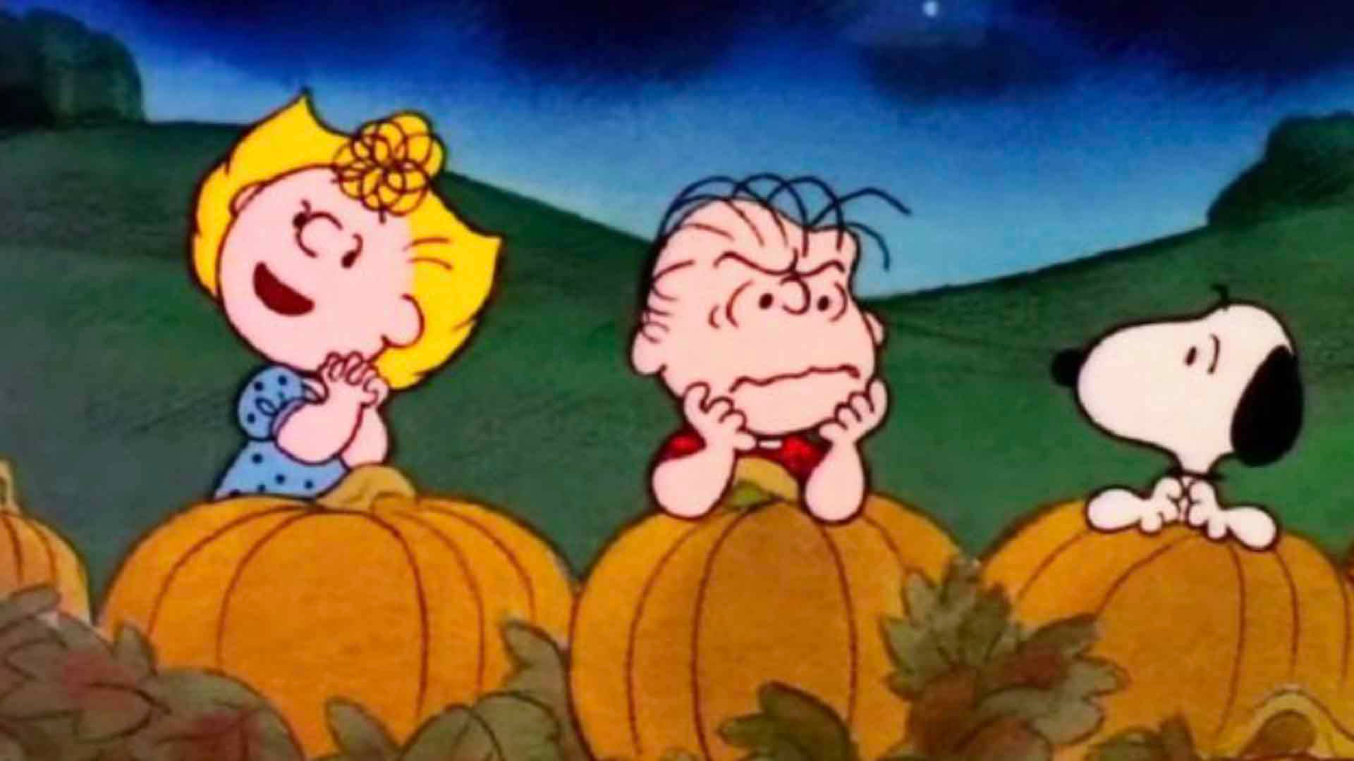 Download grumpy charlie brown halloween wallpaper