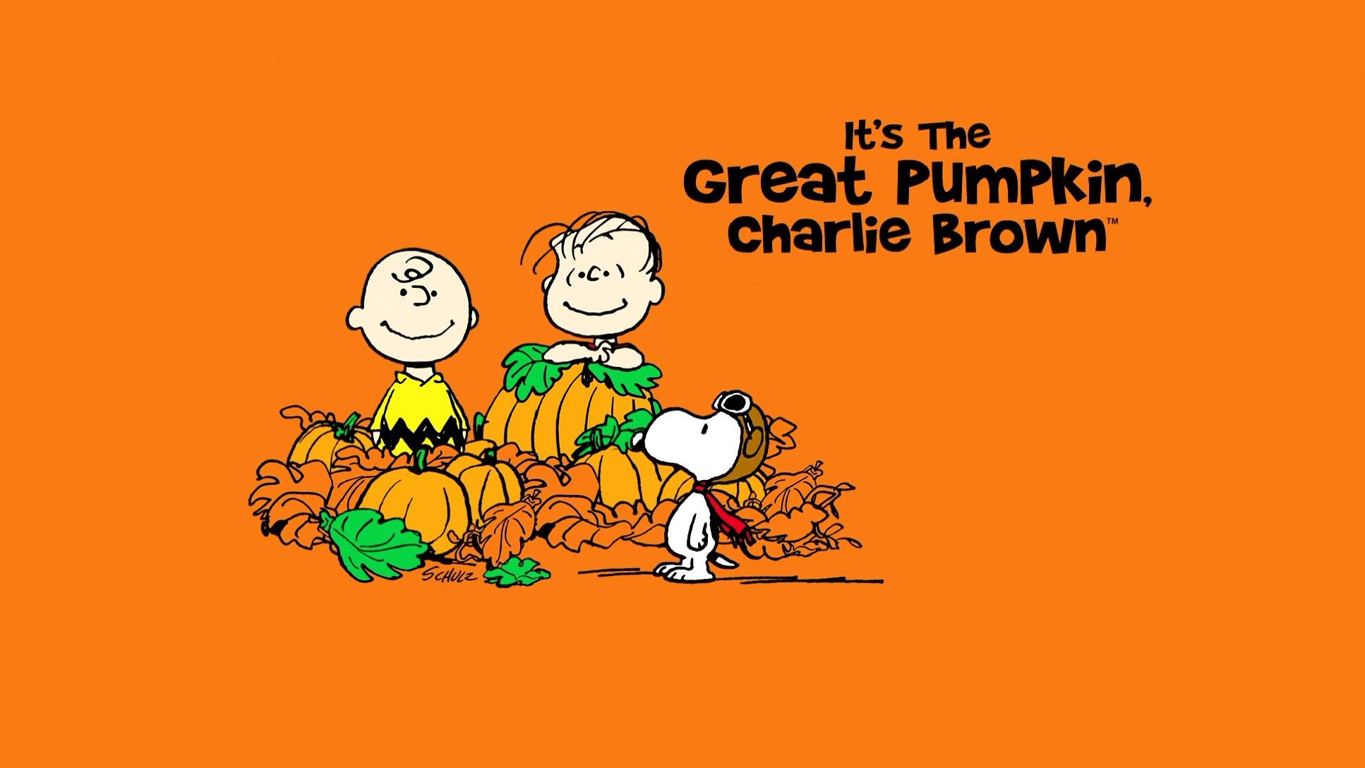 Snoopy halloween wallpapers computer free download