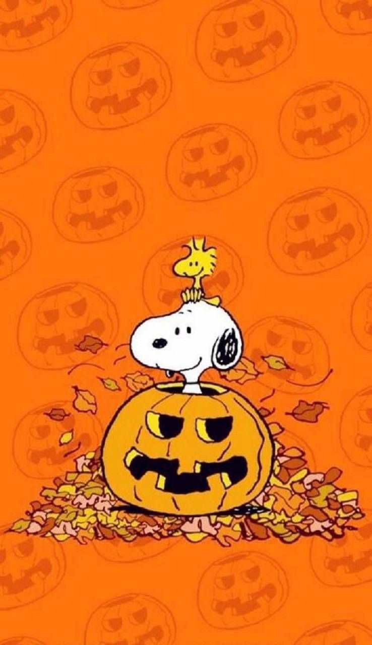 Halloween peanuts wallpapers