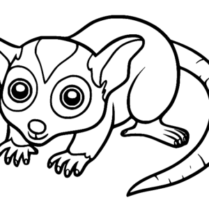 Possum coloring pages printable for free download