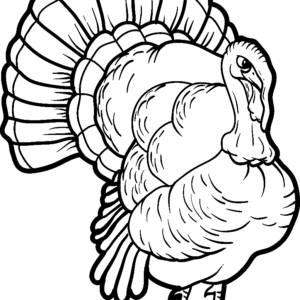 Turkey coloring pages printable for free download