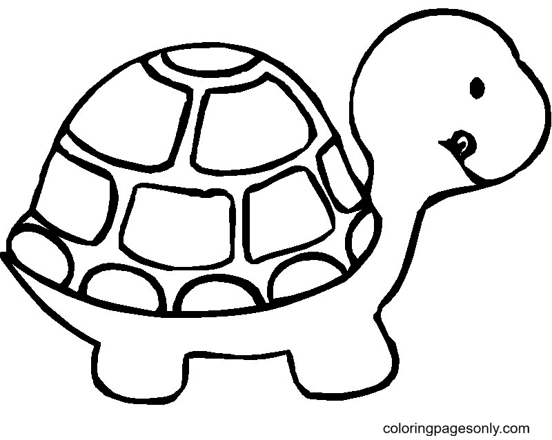 Turtle coloring pages printable for free download