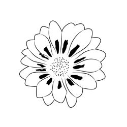 Gazania flower coloring page for kids