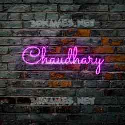 D names for chaudhary