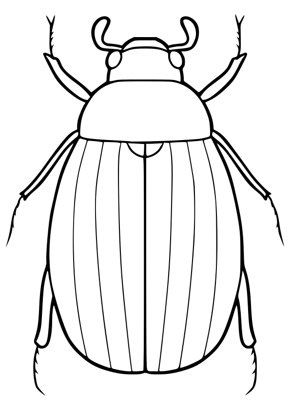 Scarab beetle drawing for coloring page free printable nurieworld