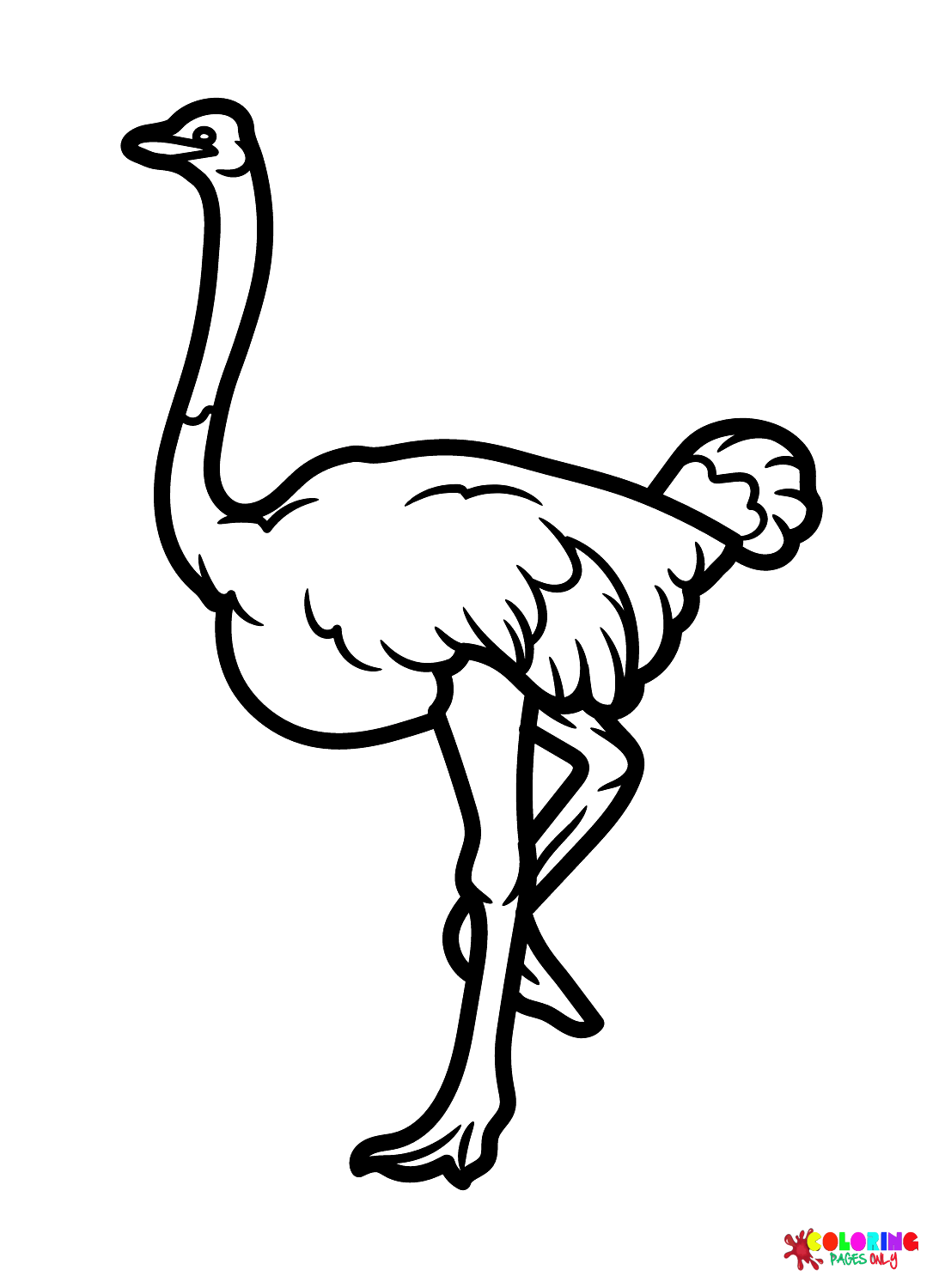 Ostrich coloring pages printable for free download