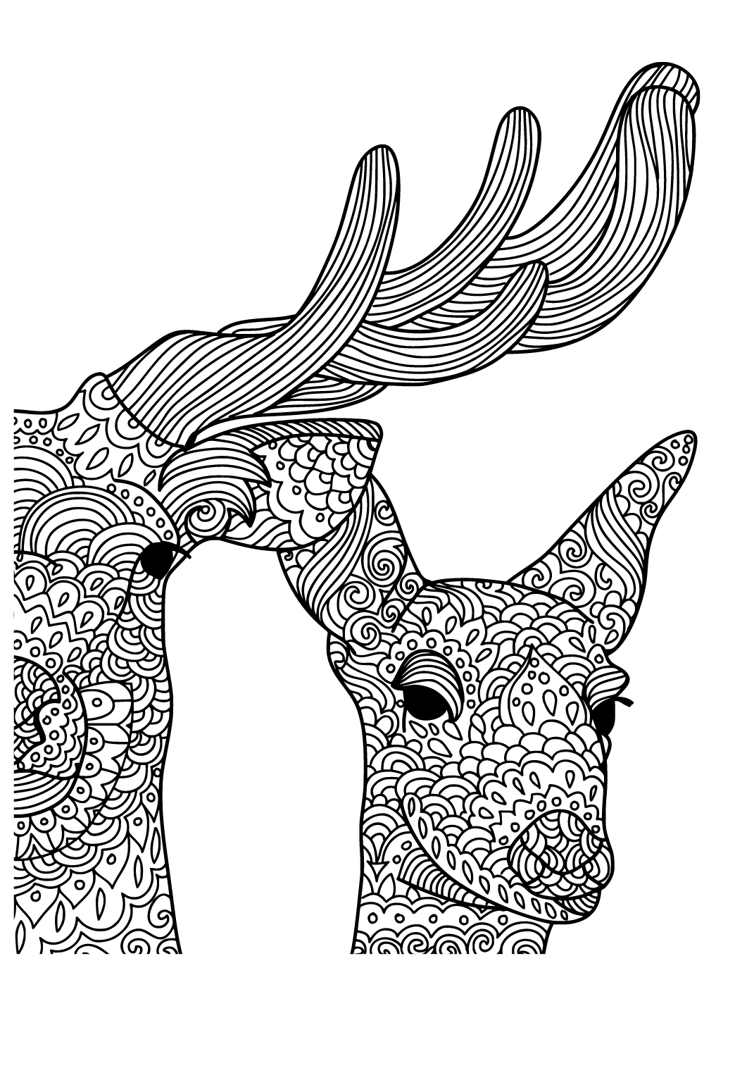 Free printable deer female coloring page sheet and picture for adults and kids girls and boys