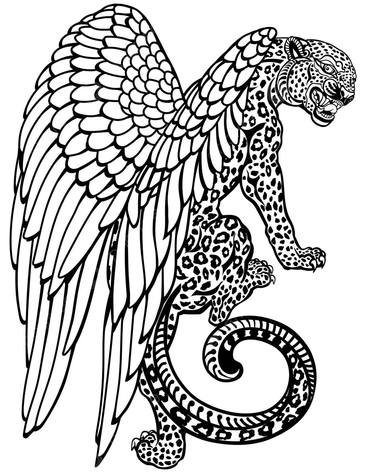 Leopards coloring page png transparent images free download vector files