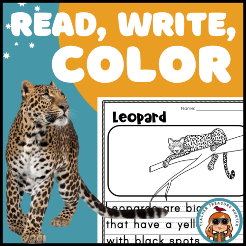 Leopard read write color african animal writing activity for safari jungle unit made by teachers