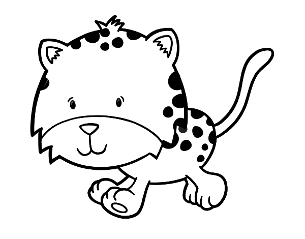 Coloring page cheetah animals â printable coloring pages