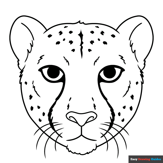 Cheetah face coloring page easy drawing guides