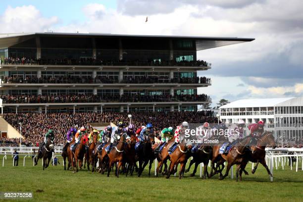 Cheltenham photos and premium high res pictures